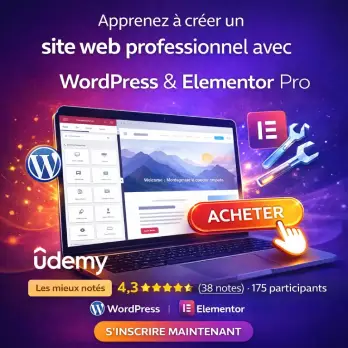 formation-wordpres-elementor-roger-ari